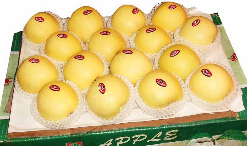 Golden Fuji apple